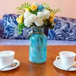 Family Jemelly Obzor