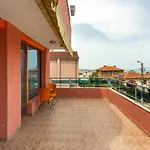 Family Jemelly Obzor